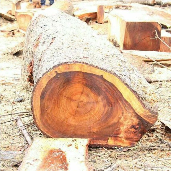 Kyle Titanium Ring w/ Wood Inlay & Christian Cross - Picture 8 of 8